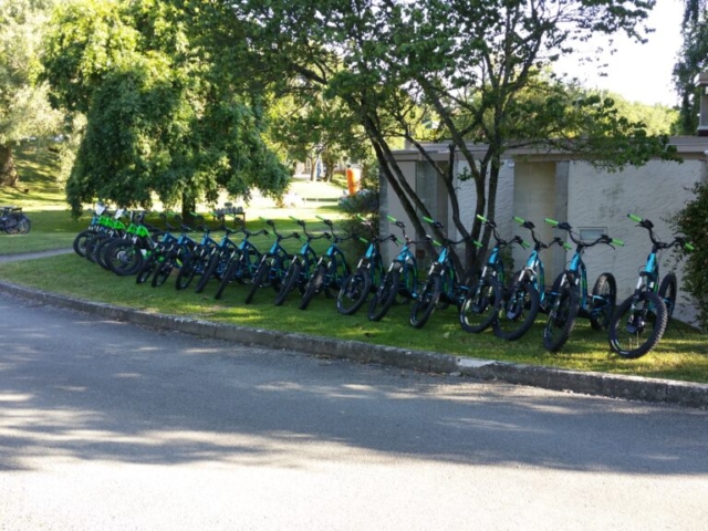 Vélos électriques alignés dans un parc ensoleillé.