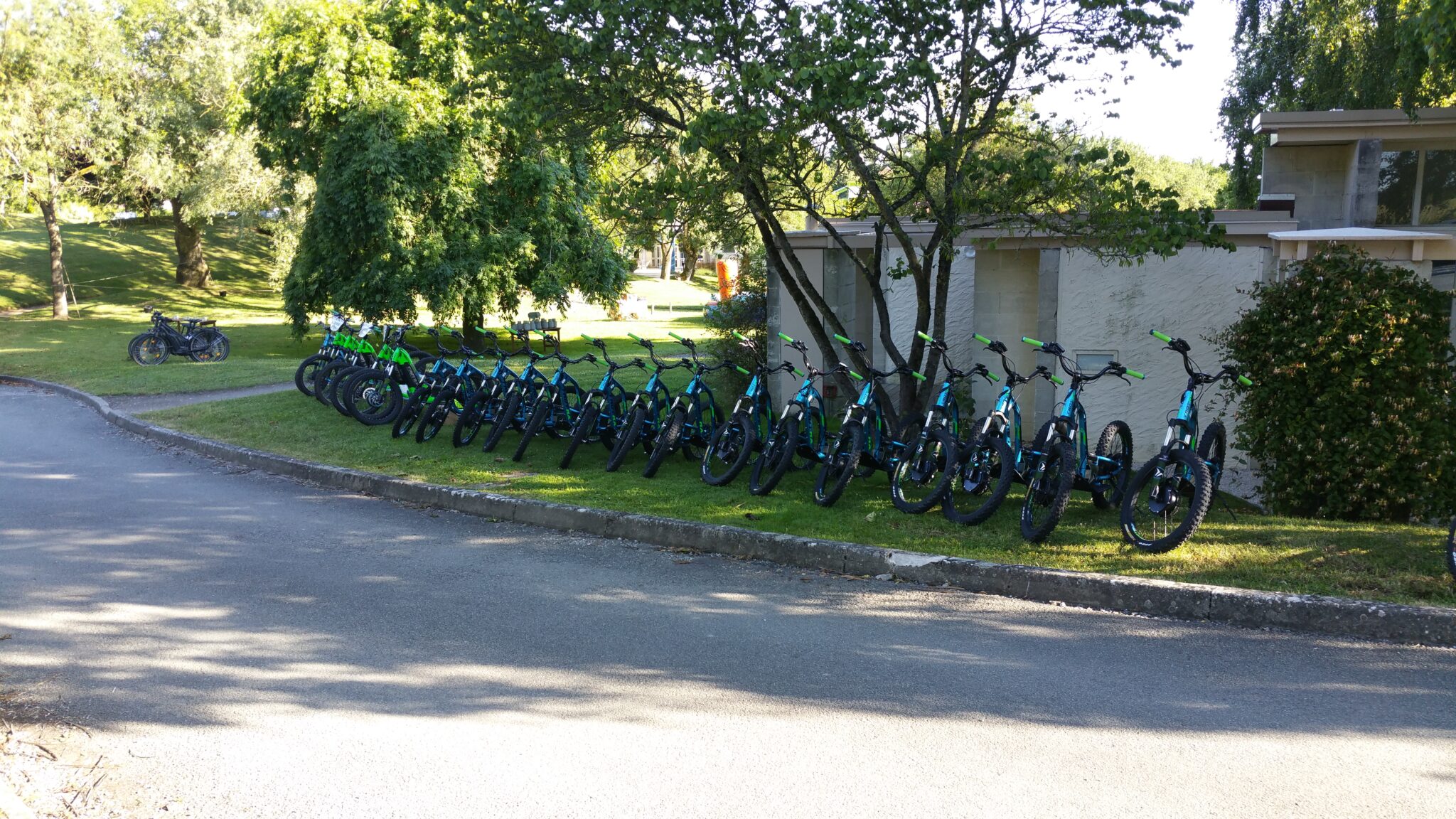 Vélos électriques alignés dans un parc ensoleillé.