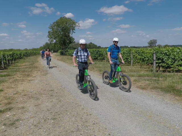 Cyclistes parcourant un chemin dans des vignobles.