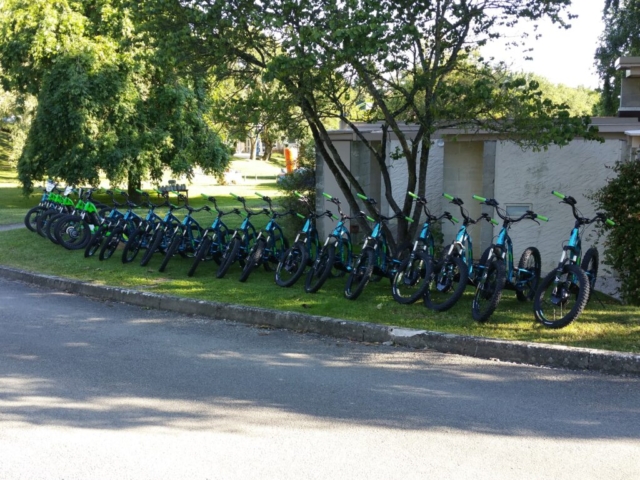 Vélos électriques alignés en parc urbain.