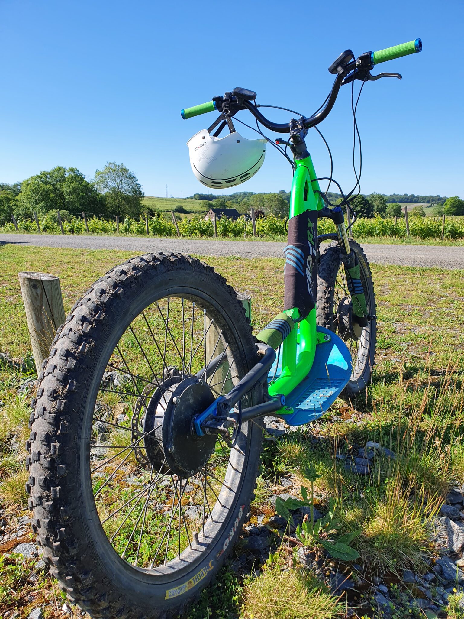 Vélo électrique vert dans la nature.